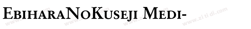 EbiharaNoKuseji Medi字体转换